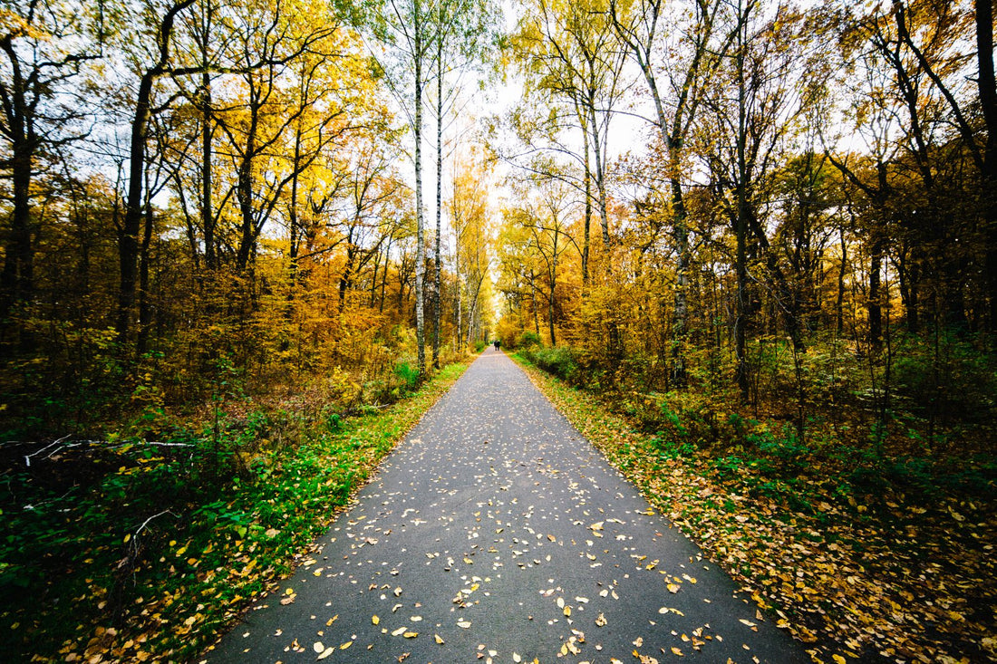 Walking by the Spirit: A Journey of Consciousness and Divine Connection